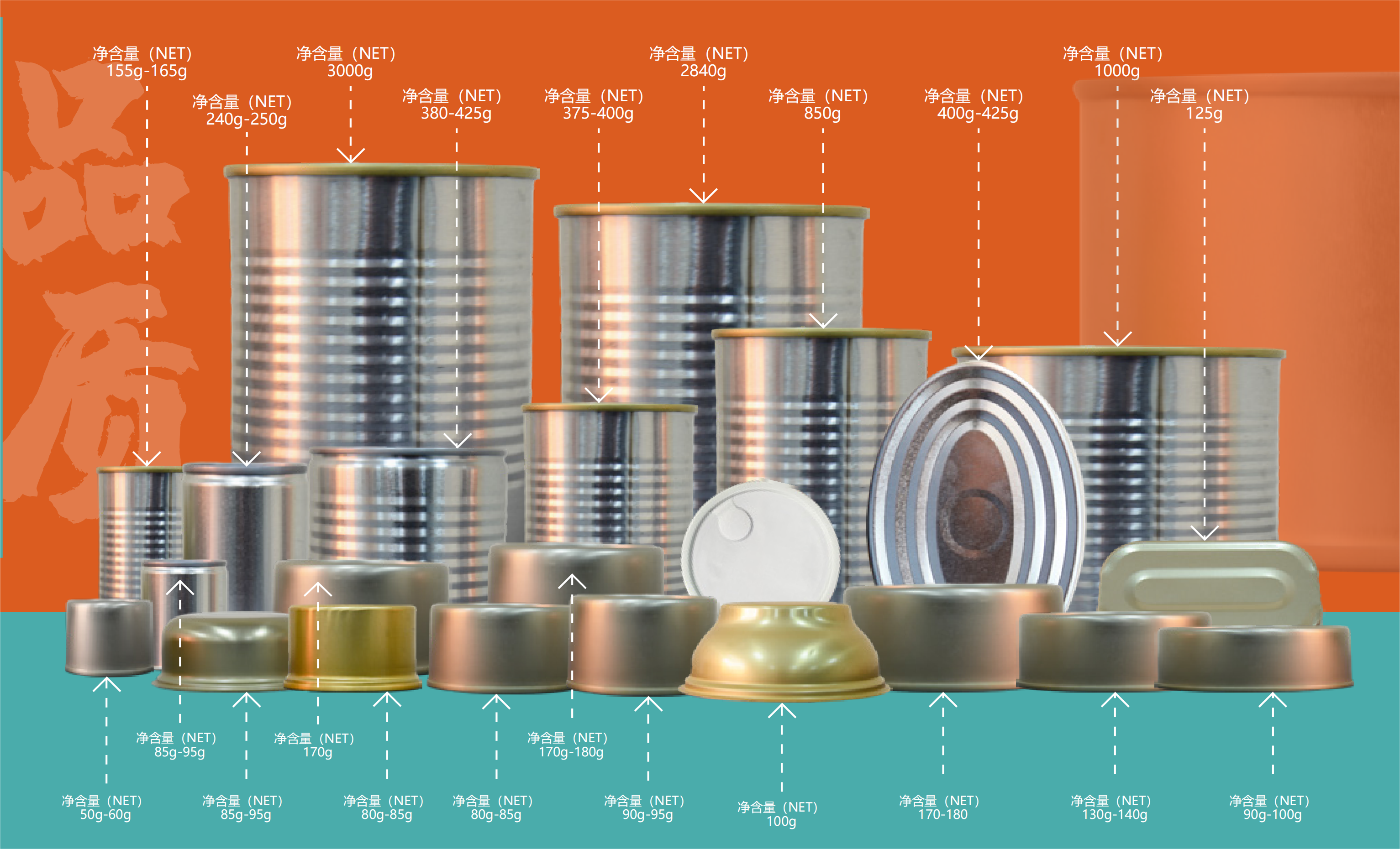 宠物罐头 罐型.png